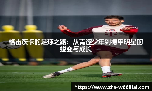 利来66国际