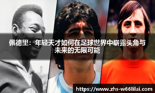 利来66国际官方网站